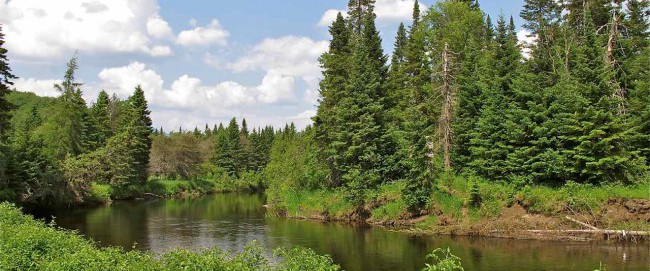 The Lake Placid Land Conservancy holds a conservation easement on the Intervale Lowlands property in Lake Placid along the Ausable River