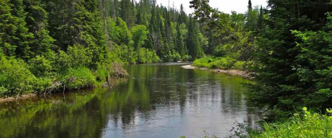 The Lake Placid Land Conservancy holds a conservation easement on the Intervale Lowlands property in Lake Placid along the Ausable River