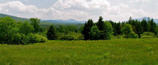 Sentinel Range as viewed  from Intervale Lowlands Conservation Easement
